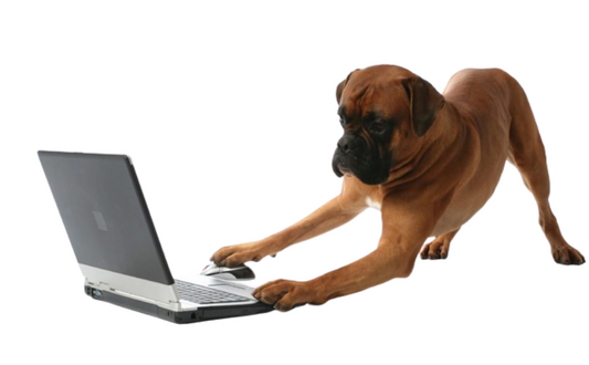 fics